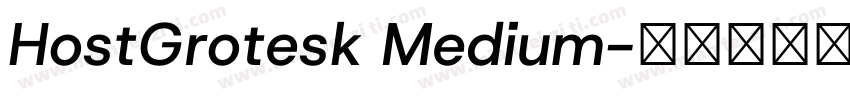 HostGrotesk Medium字体转换